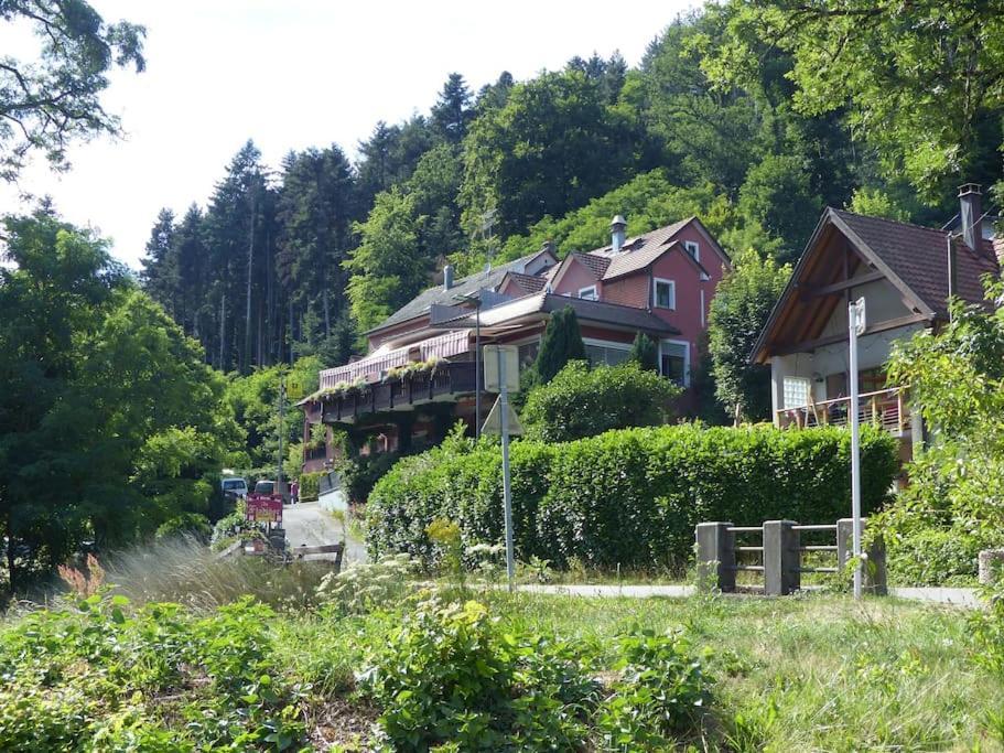 Appartement Entier Dans Un Ecrin De Verdure Thann Luaran gambar