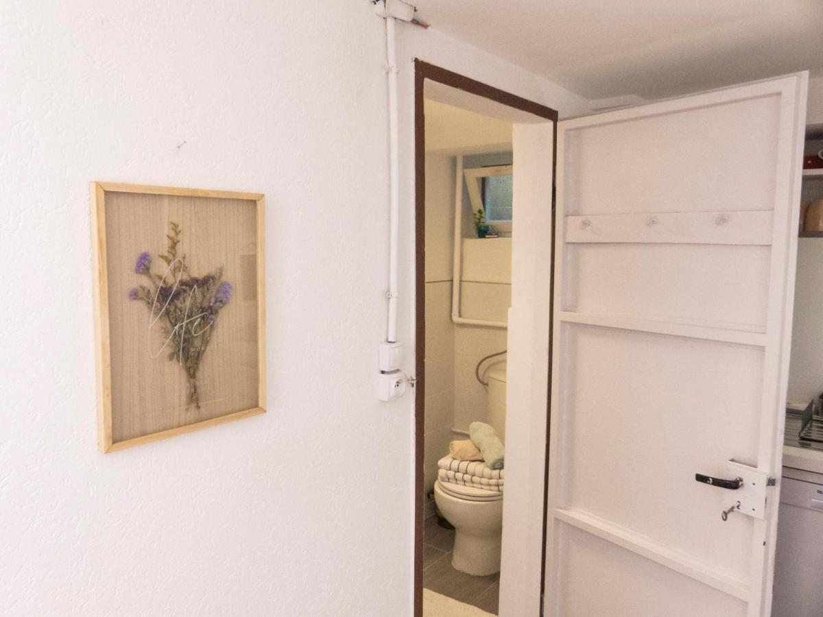 Appartement Entier Dans Un Ecrin De Verdure Thann Luaran gambar